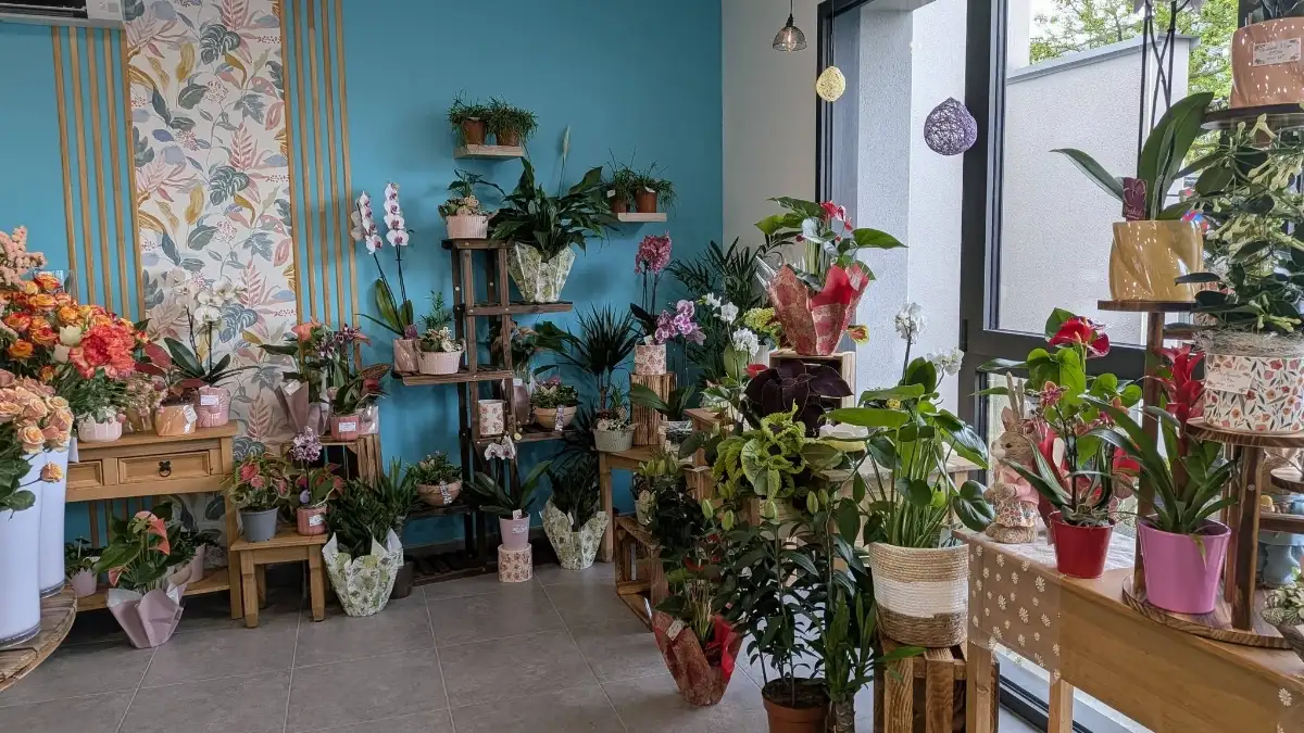 Plante intérieure